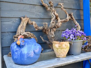 Casa per le vacanze Bergen (Holland) Registrazione all'aperto 3