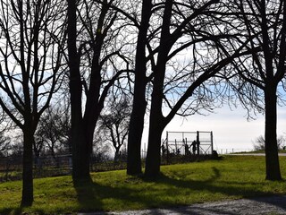 Chalet Rust am Neusiedler See Ambiente 31