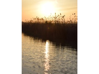 Chalet Rust am Neusiedler See Ambiente 35