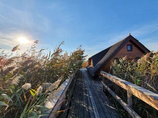 Chalet Rust am Neusiedler See Registrazione all'aperto 2