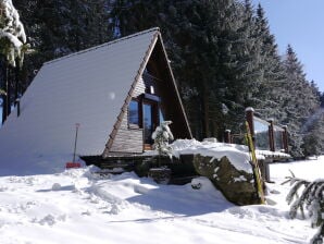 Ferienhaus Waldhütte Hammerbrücke - Hammerbrücke - image1