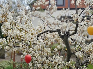 Ferienwohnung Wernigerode Außenaufnahme 9