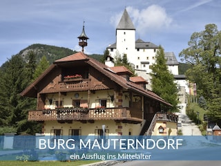 Burg Mauterndorf