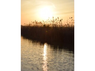 Chalet Rust am Neusiedler See Omgeving 31