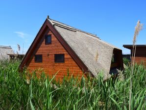 Chalet im See Nr.51 - Rust am Neusiedler See - image1