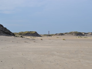 Düne mit Blick auf den Leuchtturm