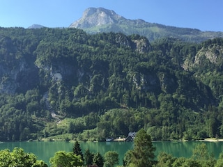 Seegut Kübler Appartements - See und Schafberg