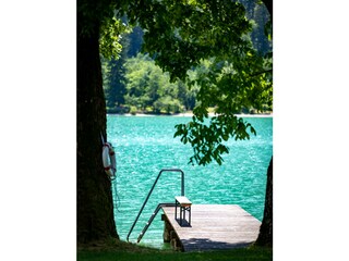 Appartamento Unterach am Attersee Registrazione all'aperto 7