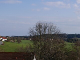 Bodensee_Fernweh_Blick