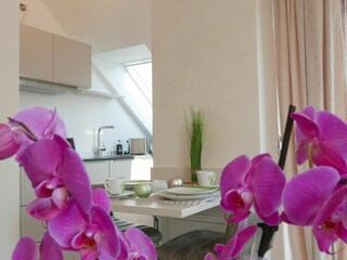 Bodensee_Fernweh_Detail