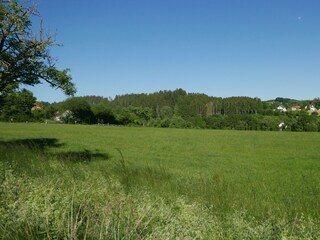 Ferienwohnung Herdwangen-Schönach Umgebung 23