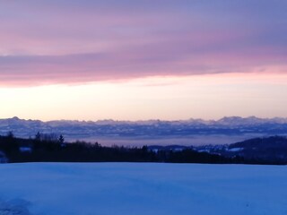 Bodensee_Winter