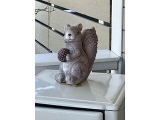 Eichhörnchen auf Veranda