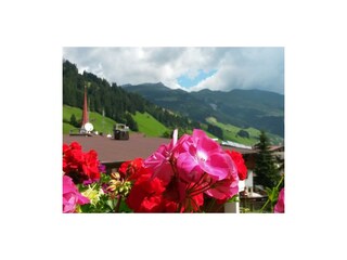 Ausblick Appartement 4