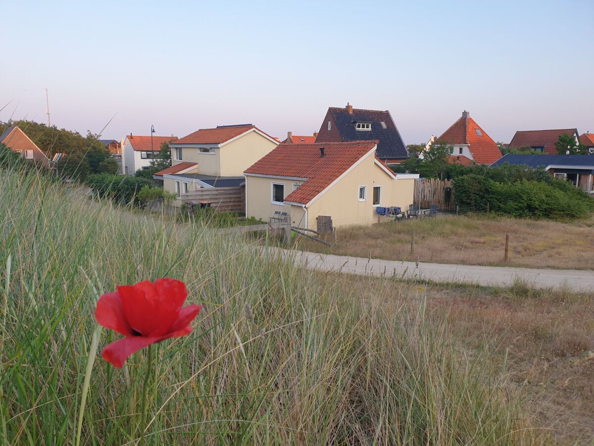 Blick von den Dünen