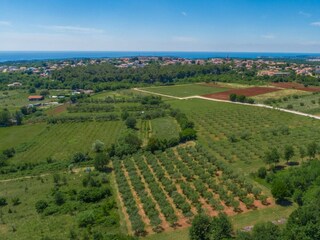 Casa per le vacanze Porec Ambiente 37