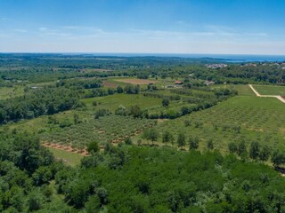 Casa per le vacanze Porec Ambiente 35