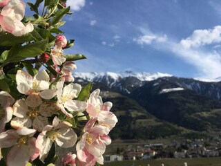 Appartamento per vacanze Partschins Ambiente 17