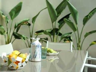 Villa Pollensa Outdoor Recording 13