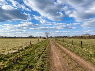 Easy walks within the area