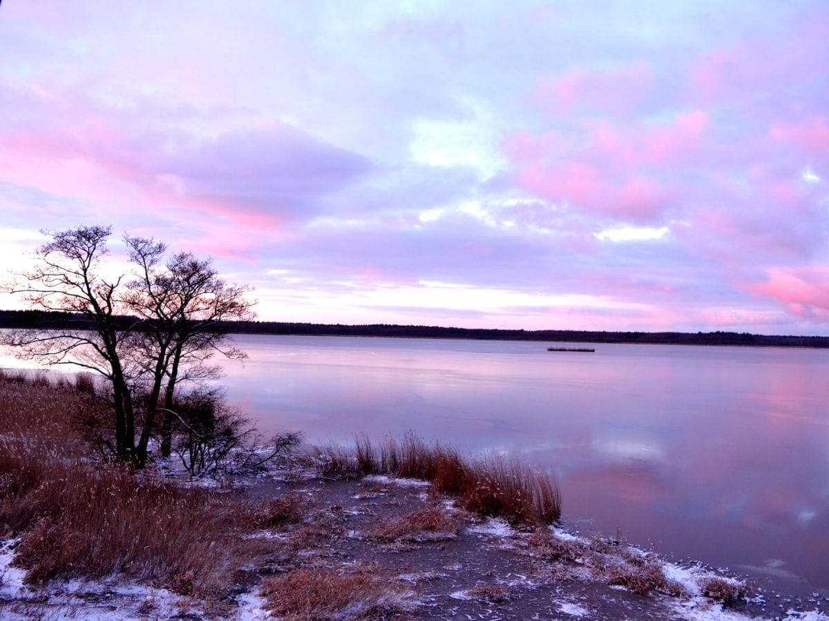 Blick auf den Neuwarper See im Winter