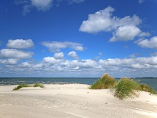 Amrum ''Odde'' (Nordspitze)