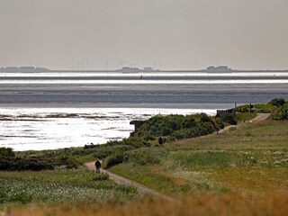 Blick von ''Hughstian'' auf die Halligen