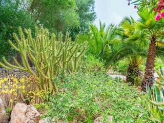 Ferienhaus Costitx Außenaufnahme 30