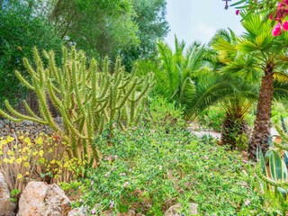 Vakantiehuis Costitx Buitenaudio-opname 30