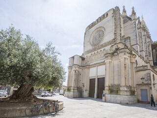 Apartamento de vacaciones Sant Llorenc des Cardassar Entorno 18