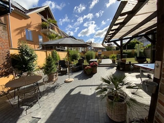 Blick in den Garten