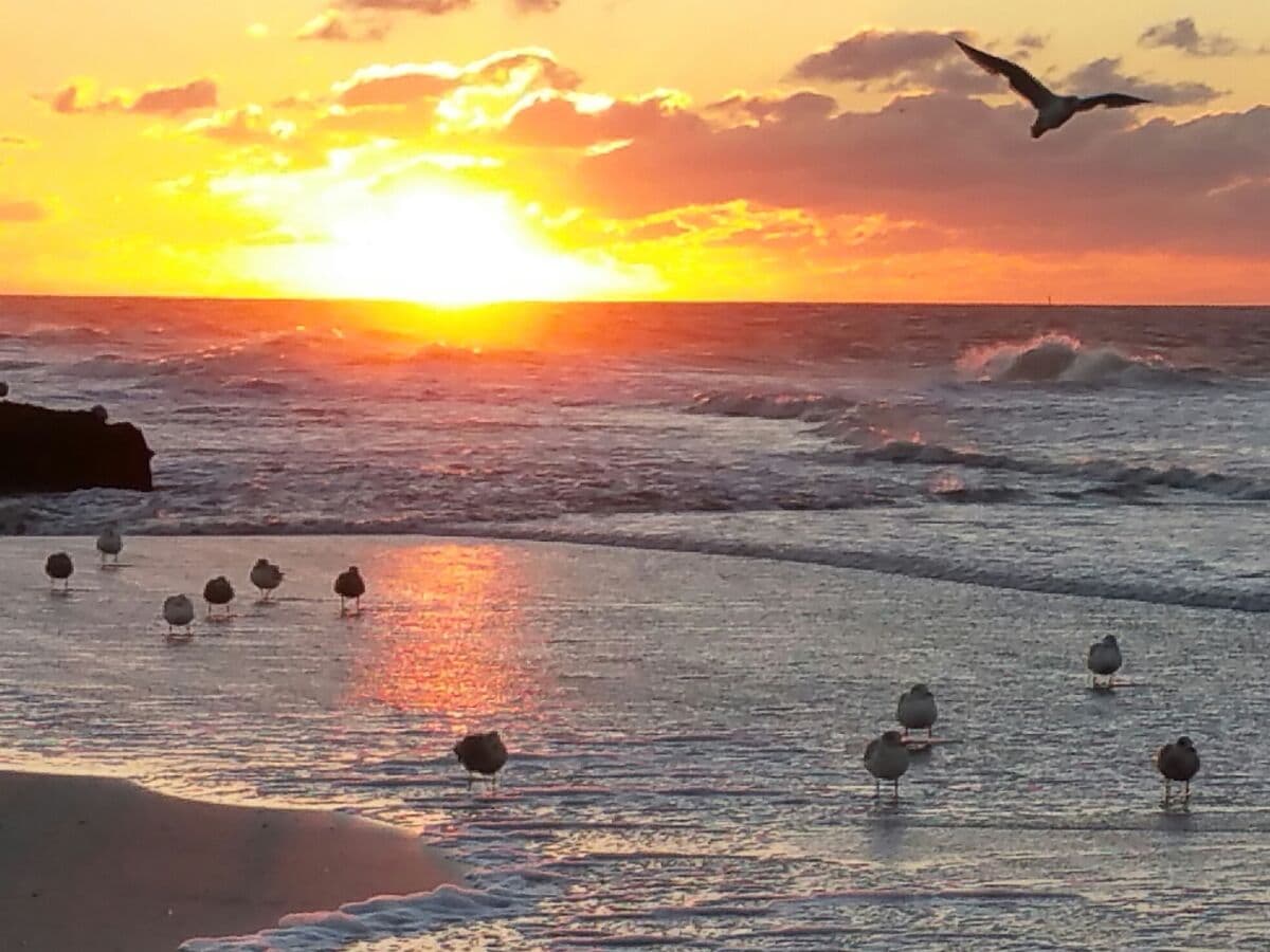 Strand von Norderney