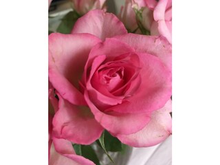 Appartamento per vacanze Bad Aussee Ambiente 22