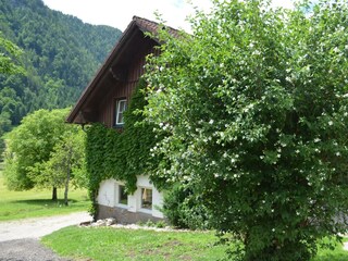 Apartamento de vacaciones Bad Aussee Grabación al aire libre 2