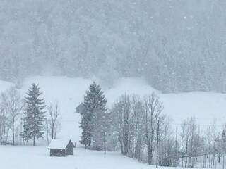 Appartamento per vacanze Bad Aussee Caratteristiche 19