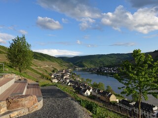 Lieblingsplatz in den Weinbergen