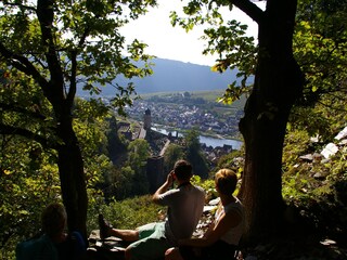 Kennen Sie den Moselsteig in Zell?
