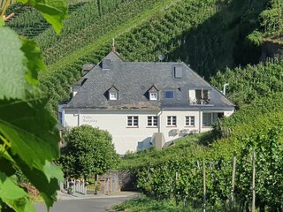 Herrliche Lage in den Weinbergen gelegen