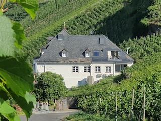 Villa Burglay in den Weinbergen gelegen