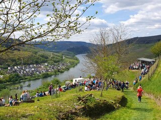 Event in den Weinbergen in Zell