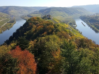 Ausblick vom Prinzenkopfturm