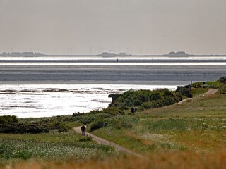 Blick von ''Hughstian'' zu den Halligen
