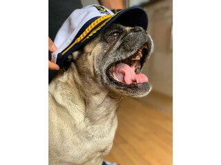 Apartamento de vacaciones Göhren Documento 29