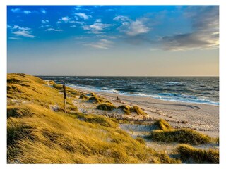 Nordseestrand