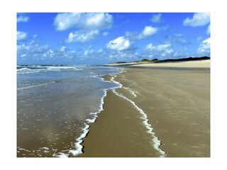 Die Nordsee