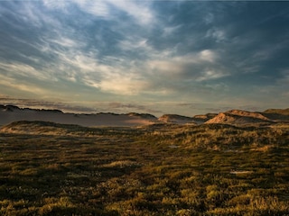 Dünenlandschaft