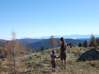 Chalet Patergassen Ambiente 20