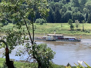 Dampferfahrt auf der Elbe