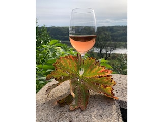 Genießen Sie den Meißner Wein im Garten