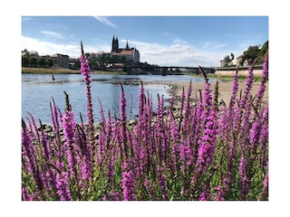 Am Elbradweg Meißen